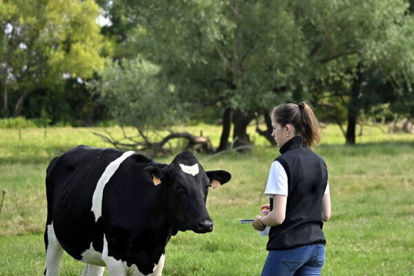 Apprenti de l'ESA (Ecole Supérieure d"Agricultures d'Angers).